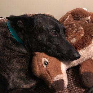 Meet your Posher, Samantha